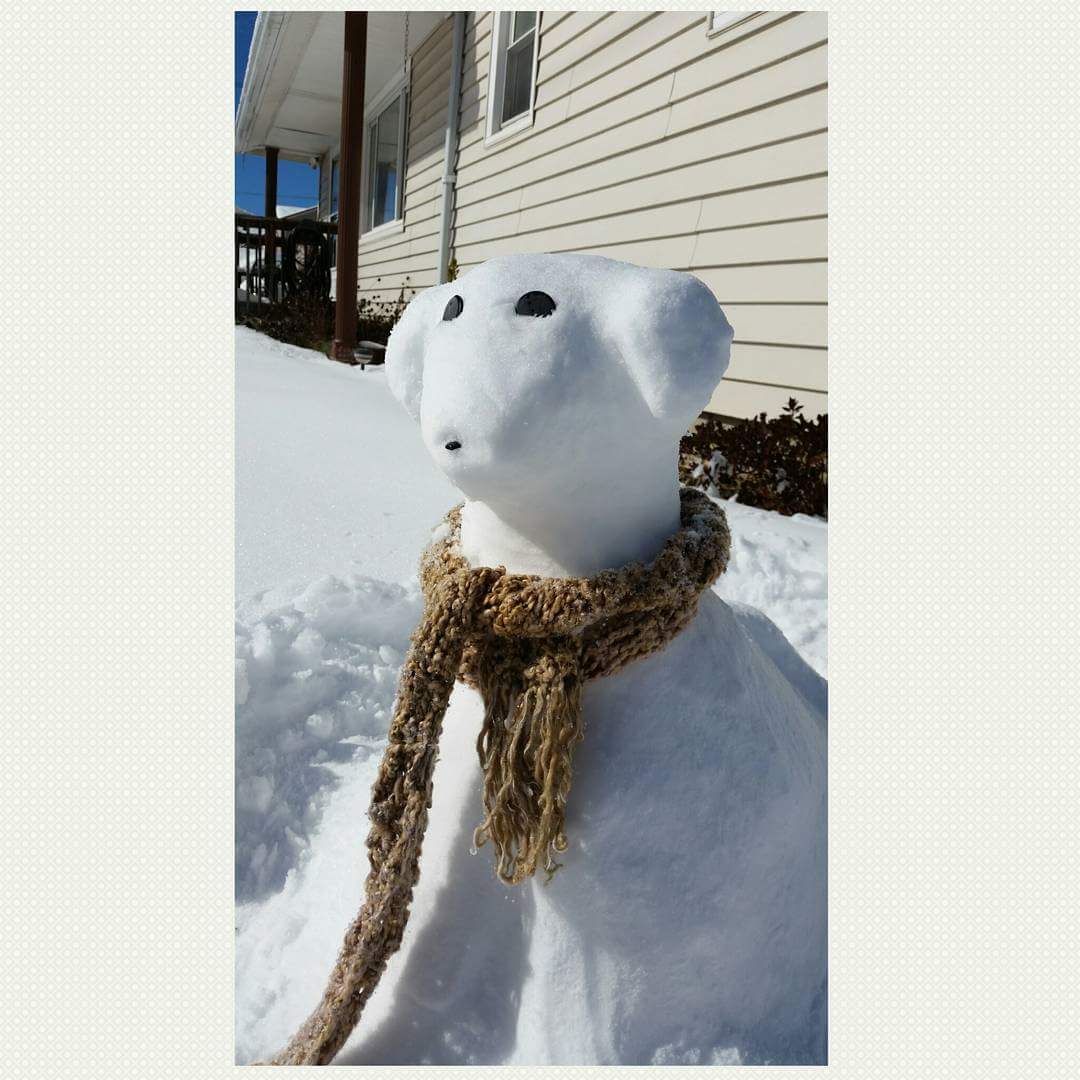 brocktavius's tweet photo. When mother nature drops 18 inches of snow on ya.... Make a snow puppy!  @EsteeLalonde https://t.co/Qjuz5ThlTw