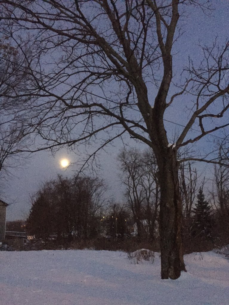 bigbenzaburgh's tweet photo. Early bird #pghbeliever says morning Yinz!! #gotmoon? @vstpgh @visitPA https://t.co/GfvIgVbmQb