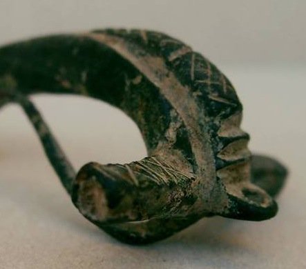 Chrisjemoss's tweet photo. My best find last year 75 -150 AD Roman Brooch https://t.co/72p4noeoED