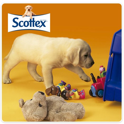 A nuestro perrito le encanta empezar la semana jugando :)  ¿Te animas?