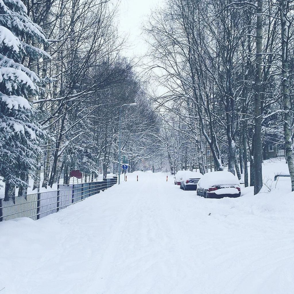 Sensaatio's tweet photo. Snowy world #helsinki #Finland #winter #talvi #maisema #koud #sneeuw https://t.co/UoBoOwDykH https://t.co/3imHiKATRZ