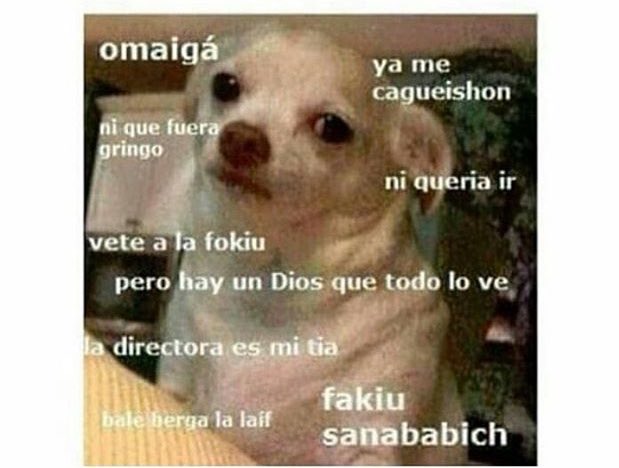VirusLagz's tweet photo. Cuando en clases de inglés pides permiso para ir al baño, y el profesor responde 

—In English, please https://t.co/SrO0I2SyRF