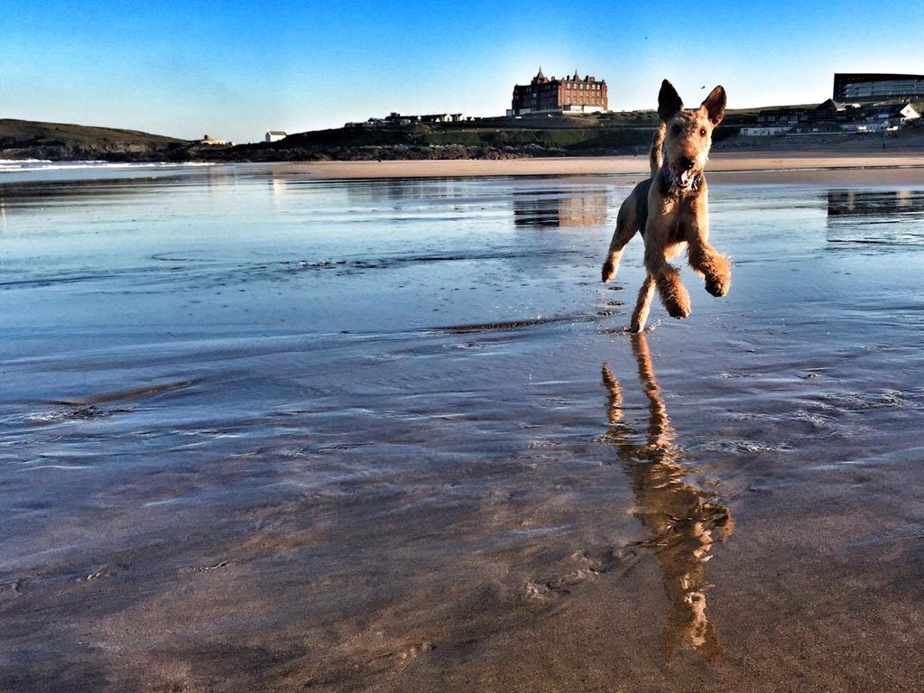 ILoveCornwallUK's tweet image. Thanks @ultimatenewquay for sharing this amazing photo of Miss Pepper Pots at Fistral beach in #Newquay #Cornwall