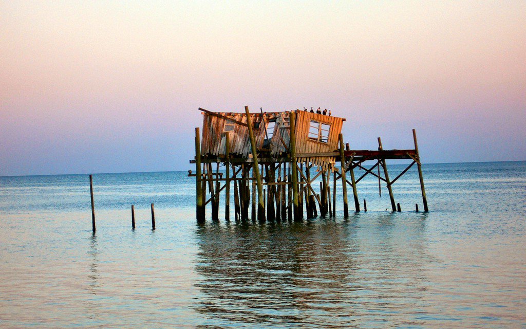TravelLeisure's tweet photo. This magical road trip through north Florida is like going back in time. https://t.co/OU9HpALghV https://t.co/Qwd0mQK9Jp