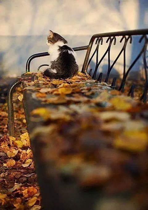 MamsiRamzi's tweet photo. @ANASTALYA good afternoon https://t.co/Ugcz9OEeKm