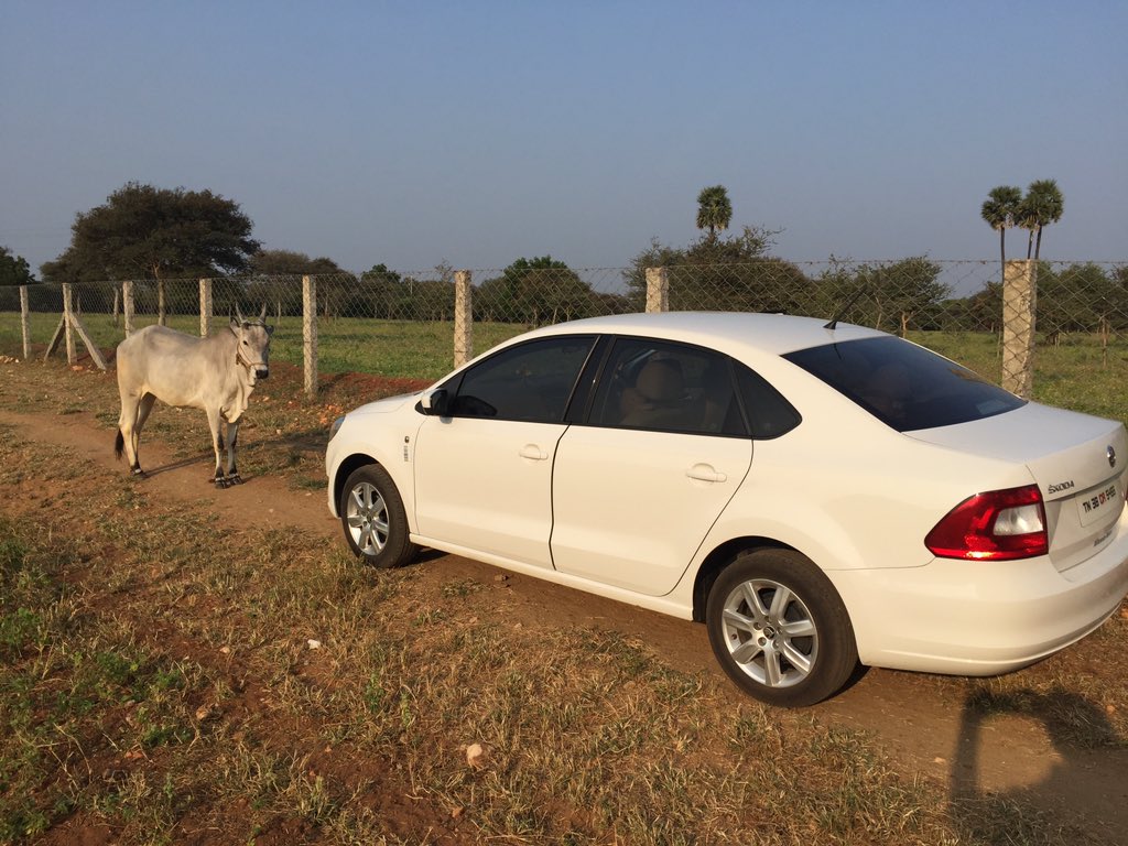 sivasankaran5's tweet image. 