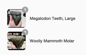 allsop8184's tweet image. Just bought some dinosaur teeth. A Woolly Mammoth molar and a giant Megalodon tooth. #shopshopify