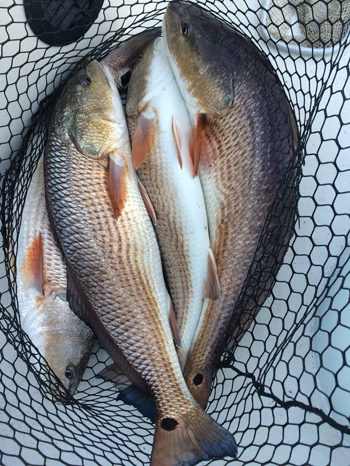fooreel1's tweet photo. cold day...hot bite #DownSouthLures https://t.co/alqcNXJ7xb