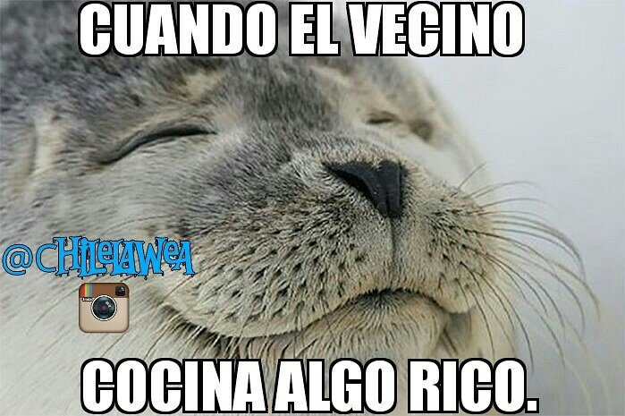 chilelawea's tweet photo. #valparaiso #iquique #viña #chilelawea #laserena #santiago #arica #antofagasta #valdivia #temuco #talca #Concepcion https://t.co/LJmTME2t0X