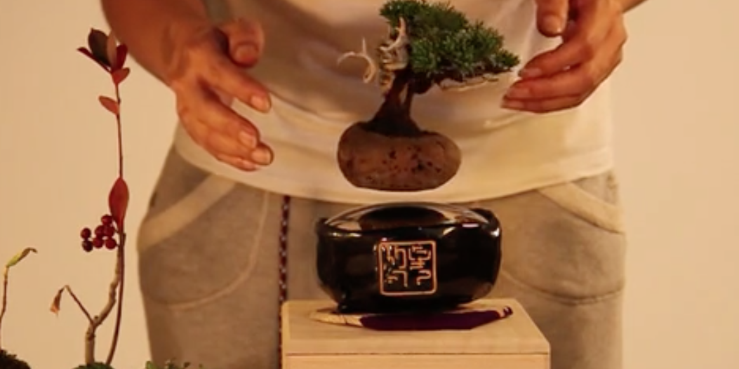 Business Insider tweet media