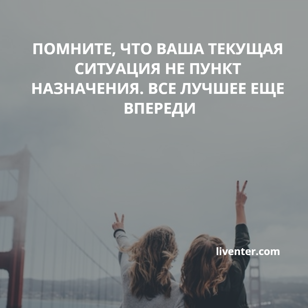 liventercom tweet picture