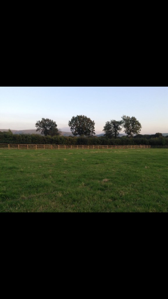 handscape_hort's tweet image. Pictures from repair and instalation job in Wales! #menage #handscape #horticulture #work #repairs #fencing