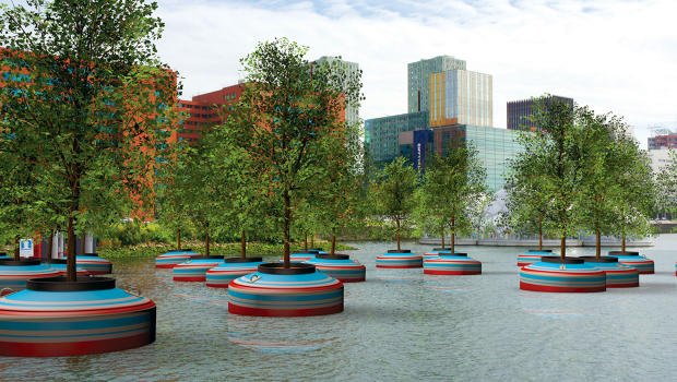 learyjoyce's tweet photo. This forest will grow floating in Rotterdam's harbor: https://t.co/WLGTYdEOSO via @FastCoCreate https://t.co/dGLQZGYlNI