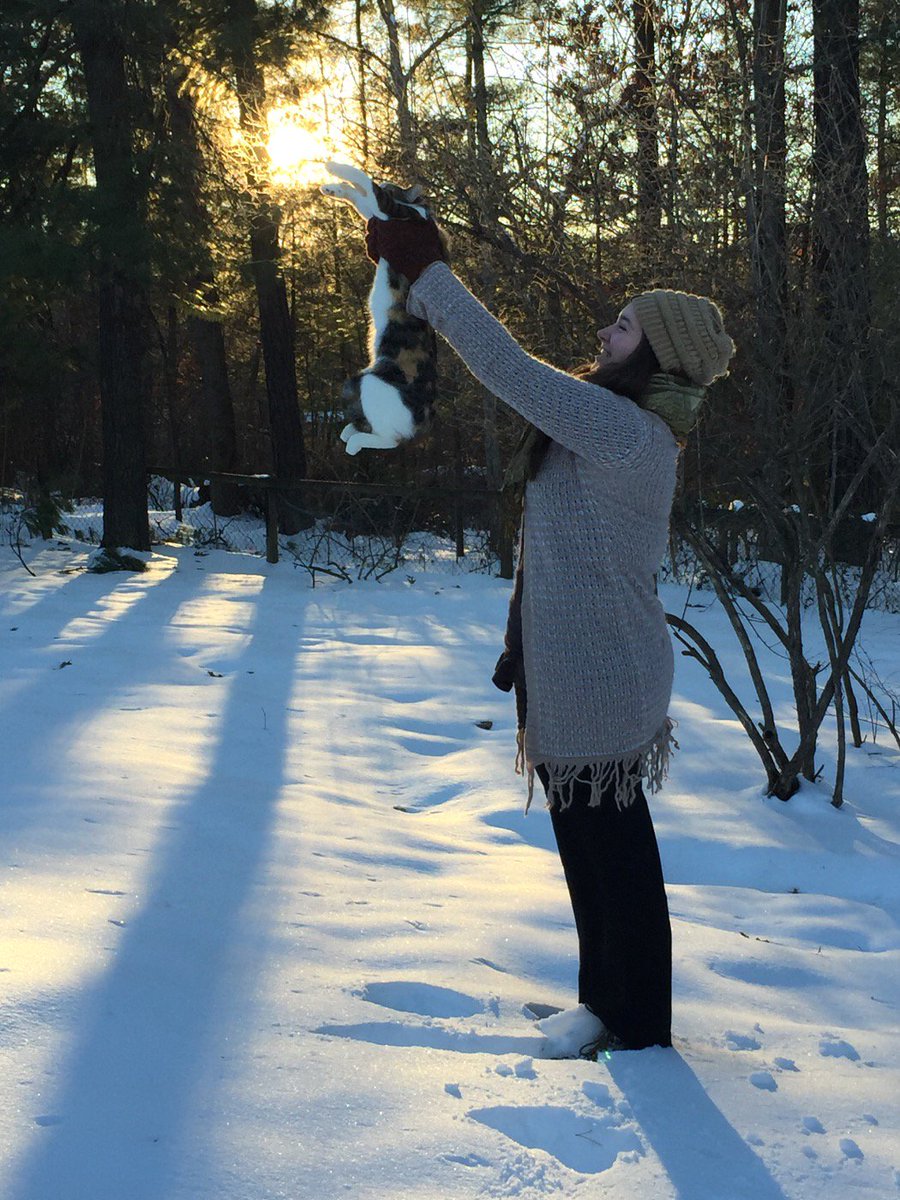 AvlPAA's tweet photo. Snow Simba. Due to road conditions &amp; threat of wintery mix, first rehearsals for THE LION KING JR. will be Feb 3rd! https://t.co/e1OKCYueiM
