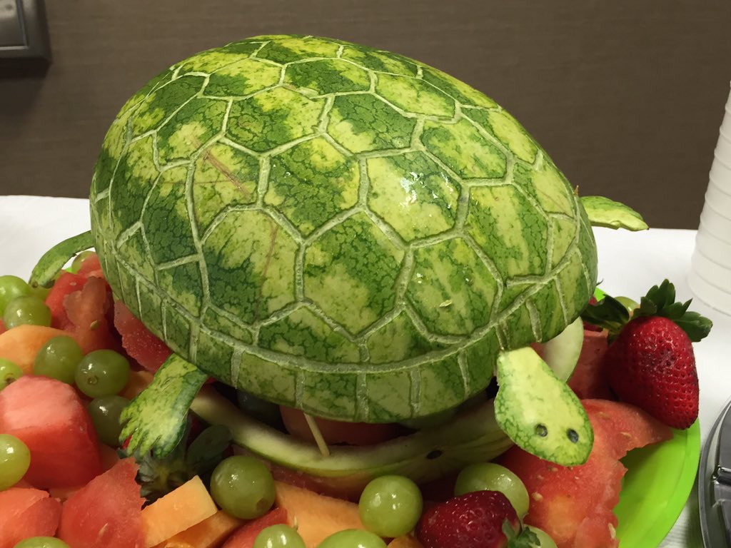 Ready for the Turtle Race? Turtle adoptions begin tomorrow or visit bit.ly/23ok5AG to get yours today!