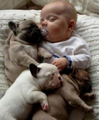 millionpicblog's tweet photo. So Cute #MillionPictureBlog https://t.co/i1uZaFk7tl