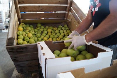 FrutasSamper's tweet photo. Seleccionamos pieza a pieza los productos que llegan hasta tu negocio porque tu negocio se merece lo mejor. https://t.co/ERCXXmq5gV