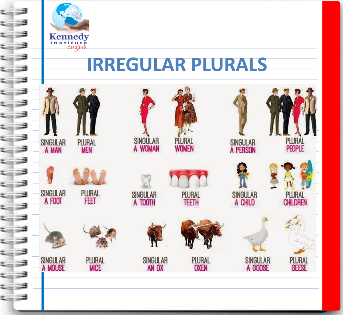 KennedyInstitut's tweet photo. ¿Cuántos de estos plurales irregulares conoces? https://t.co/IezPRjlWys
