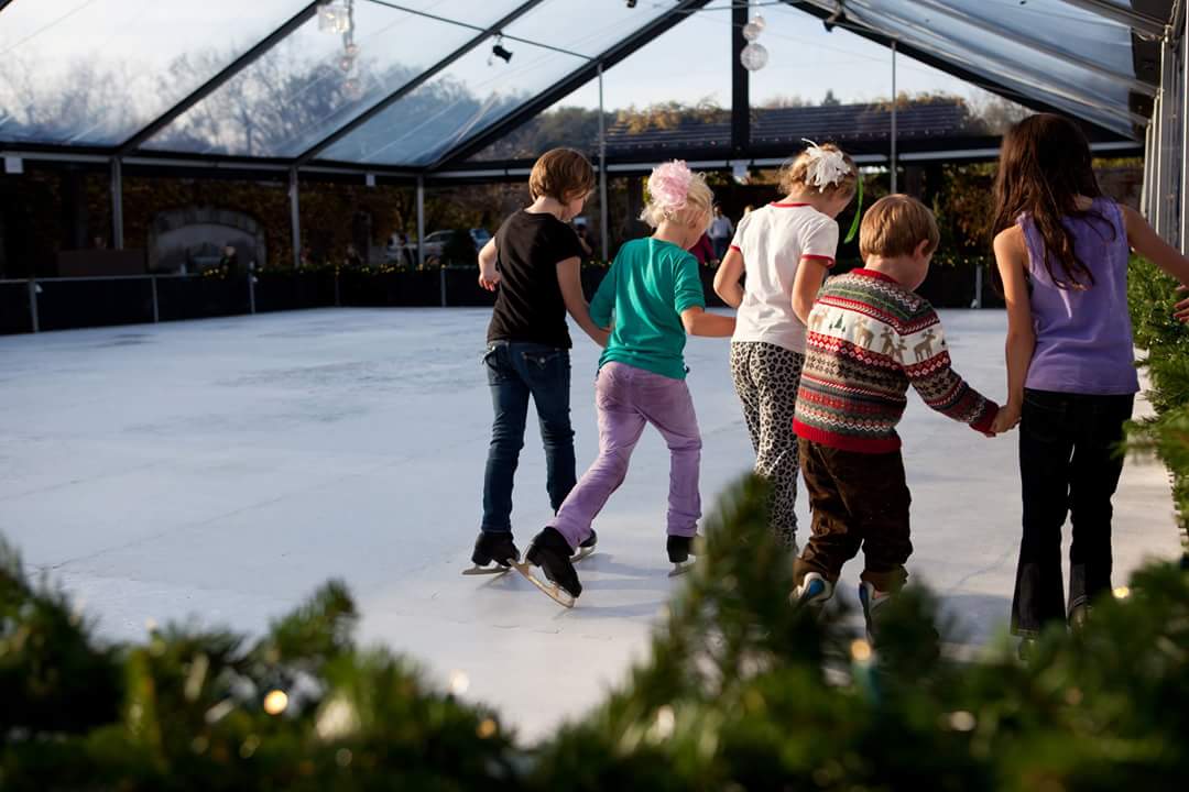 Skating rink, Snowzilla, free ski &amp; snowboard lessons, s'mores &amp; hot cocoa downtown in 5 days! #dewdowntownflag