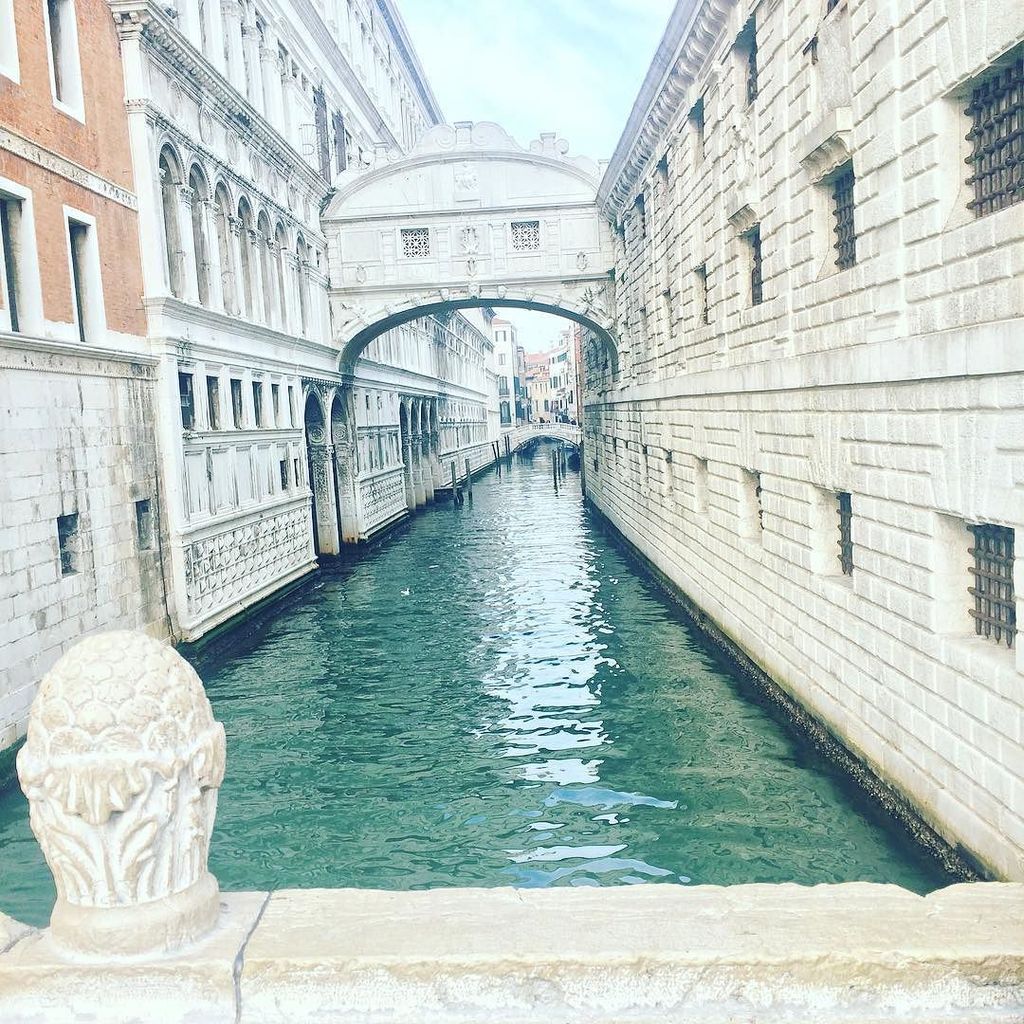 PicsFromVenice's tweet photo. The most beautiful city 💜💛💚#Venice #Venezia #travel #ivefalleninlove #truebeauty by sophie… https://t.co/sHOXZEasQm https://t.co/t2ZqXaU1hV