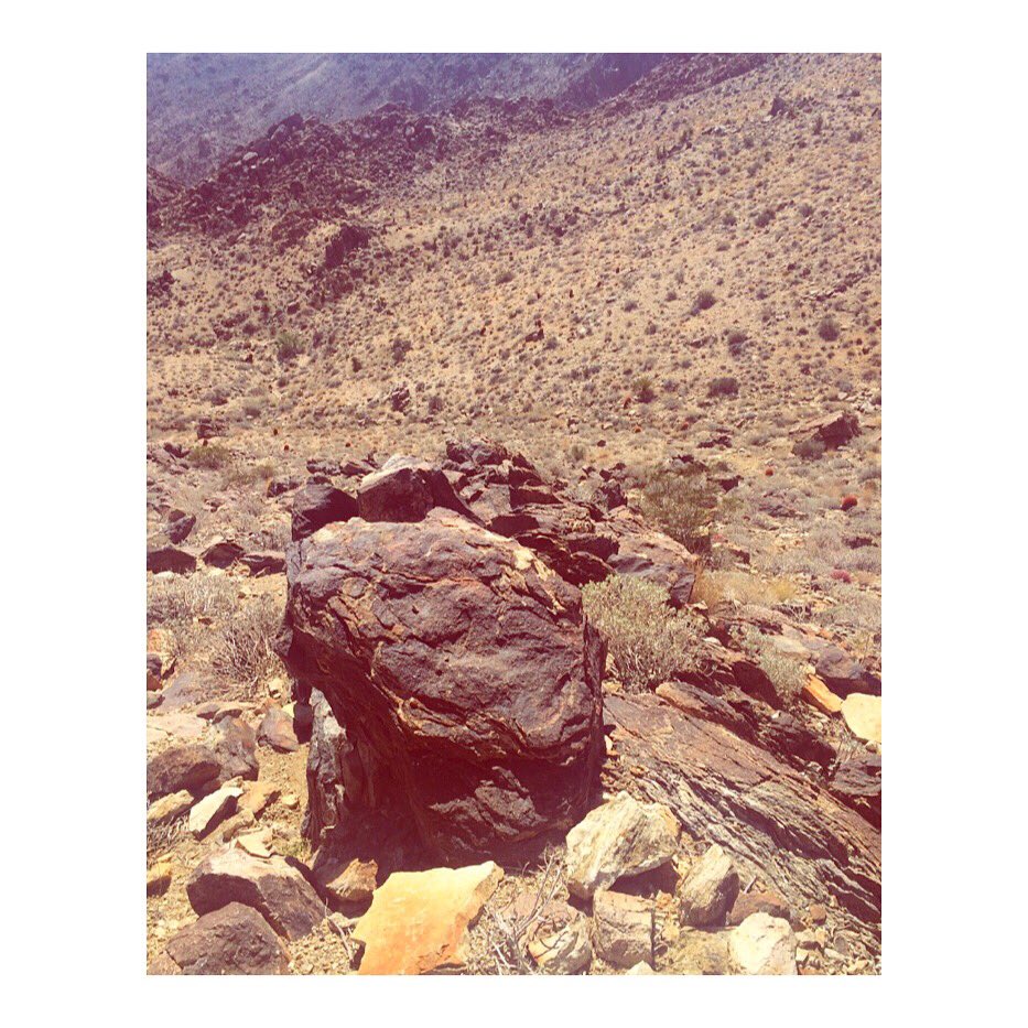 Don't look down 🙈 #joshuatree #49palms #hike #california #publication #adventure #art #geology #landscape