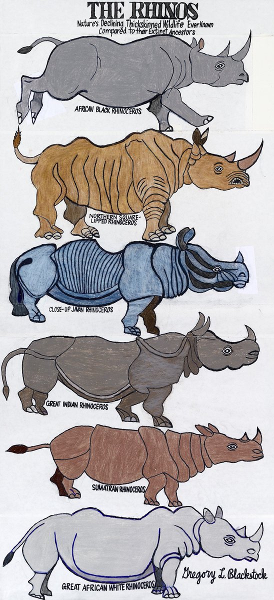 GardeRail's tweet photo. New stunner by the greatest Outsider Documentarian in the universe, Gregory Blackstock.
The Rhinos
39 x 18
$5300 https://t.co/rj4V0zmrue