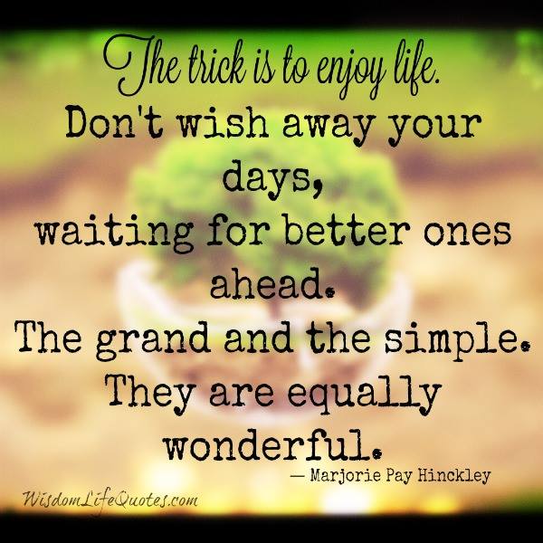 Preston Cosby tweet media