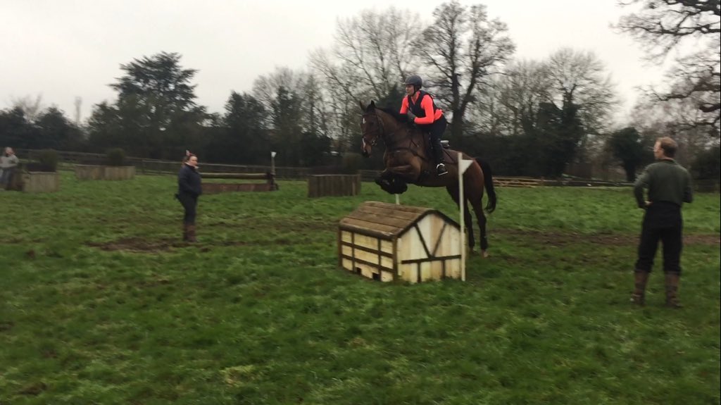 SophieEREvans's tweet photo. Rebus growing in confidence XC thanks to @nick_gauntlett @LittletonManor #RetrainingRebus #ROR #Thoroughbred π¦π«π¨ https://t.co/0NCCmH7ilB