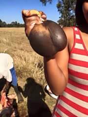 mandlahlungwane's tweet photo. She says when bae is not man enough you buy him #Balls https://t.co/qNehiPN9zY