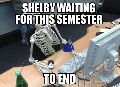 Cameron_Paul98's tweet image. 