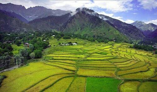 nomanzahoor1411's tweet photo. #BringTourismBackInPak
Leepa Valley  #Azad_Kashmir https://t.co/L4D6t88q7n
