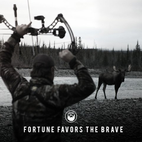 DroppedTV's tweet image. And the #bold, of course. #BeAlive