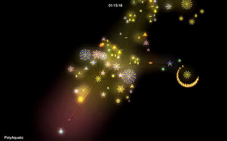 PolyAquatic's tweet photo. Check out this visualization of #PolyAquatic's work flow in #GitHub! #GoogleCardboard #VR
https://t.co/OkULHjp4Cf https://t.co/LjEW9q5jUi