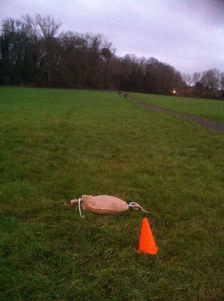 declantraynor1's tweet photo. Monday eve run.. 25 120m hill runs, too easy? Let's do it with a 15kg sandbag #jellylegs #lacticthreshold https://t.co/h7Ilvt3JSc