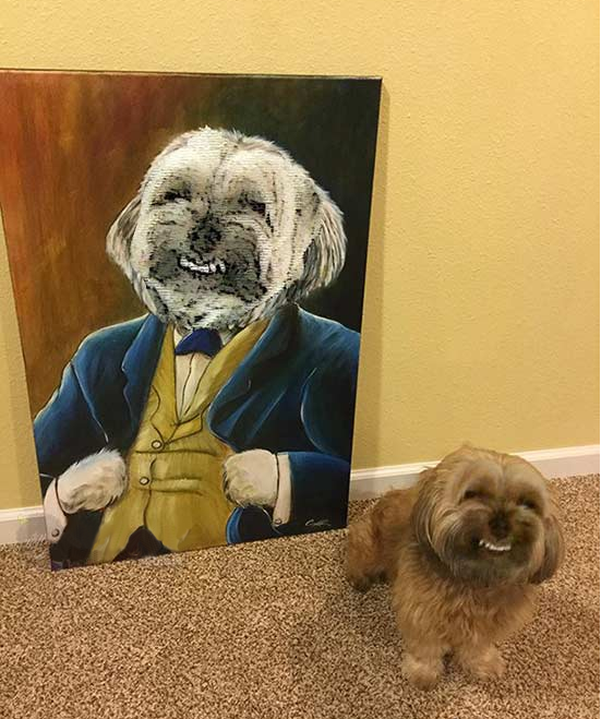 heinesberg's tweet image. eu so queria ser tao feliz quanto esse cachorro