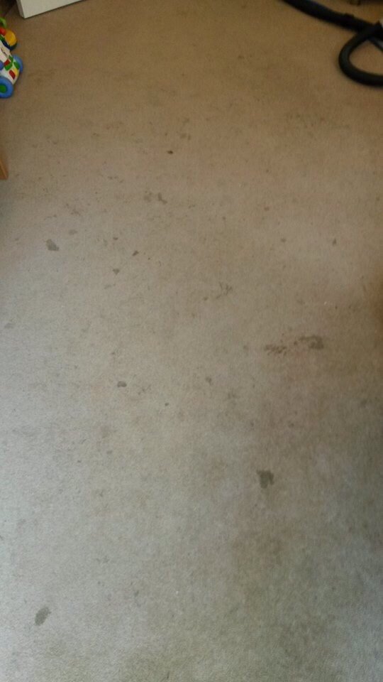 CarpetGbs's tweet photo. Want to go from this to this? We also clean upholstery seating areas contact us today @CrownBrentwood @CircuitEssex https://t.co/iT7qByjVRb