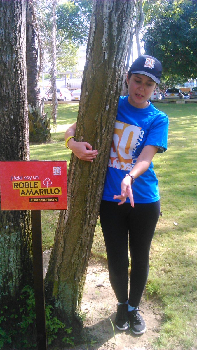 indiaojosverdes's tweet image. Símbolo de nuestro pasado terrenal #50añosuninorte #sibilauninorte