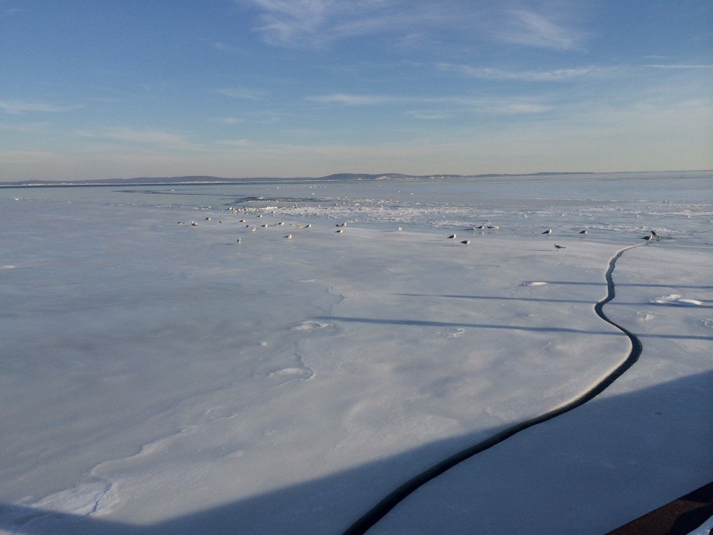 BrynaZumer's tweet photo. Frozen Susquehanna River in Havre de Grace #HarcoSnow https://t.co/3KyrrIv8FL