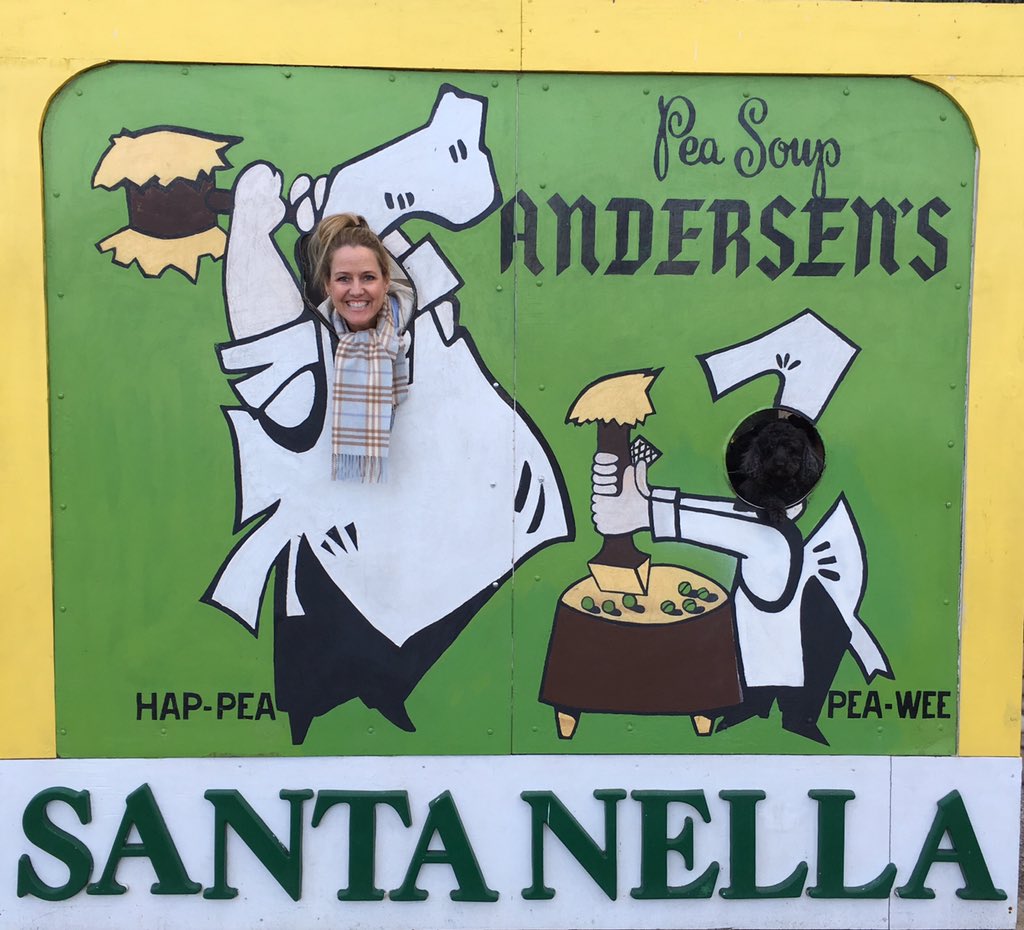 BreeAnnaBaeyens's tweet image. Mom and pooter took a little trip to SF #findthedog