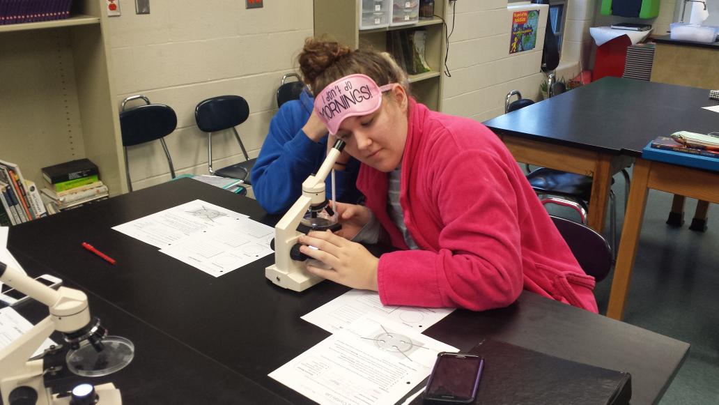 wcr2middle's tweet photo. Last Friday was 8th grade pajama day.  Pajamas and microscopes were on display in Mr. Aaron's room. https://t.co/OavyJ2JuH9