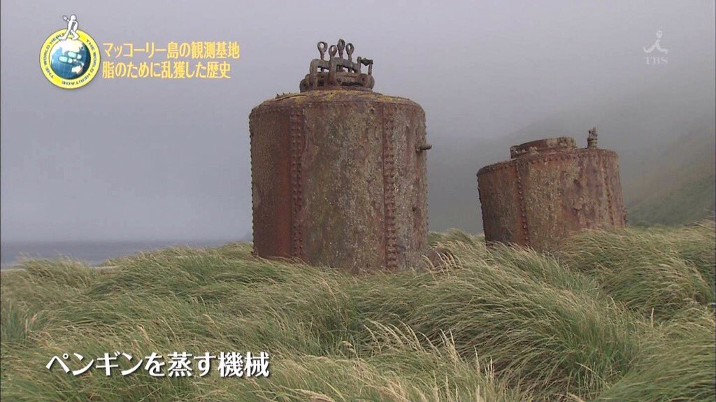 どエンド君 در توییتر 19世紀後半 起業家たちは一攫千金を狙いマッコーリー島にペンギン オイル製造工場を建てるとペンギンを蒸して搾っていました ペンギン オイル産業最盛期には 毎年15万羽ものペンギンが釜で蒸されていたといいます T Co E9lquxohe6 どエンド君 در توییتر 19世紀後半 起業家たちは一攫千金を狙いマッコーリー島にペンギン オイル製造工場を建てるとペンギンを蒸して搾っていました ペンギン オイル産業最盛期には 毎年15万羽ものペンギンが釜で蒸されていたといいます T Co E9lquxohe6