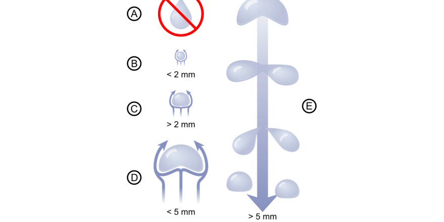 pickover's tweet photo. Raindrops are not tear-shaped, as many people think. Info: https://t.co/ZkRVb95mHL https://t.co/KeBOasdffM