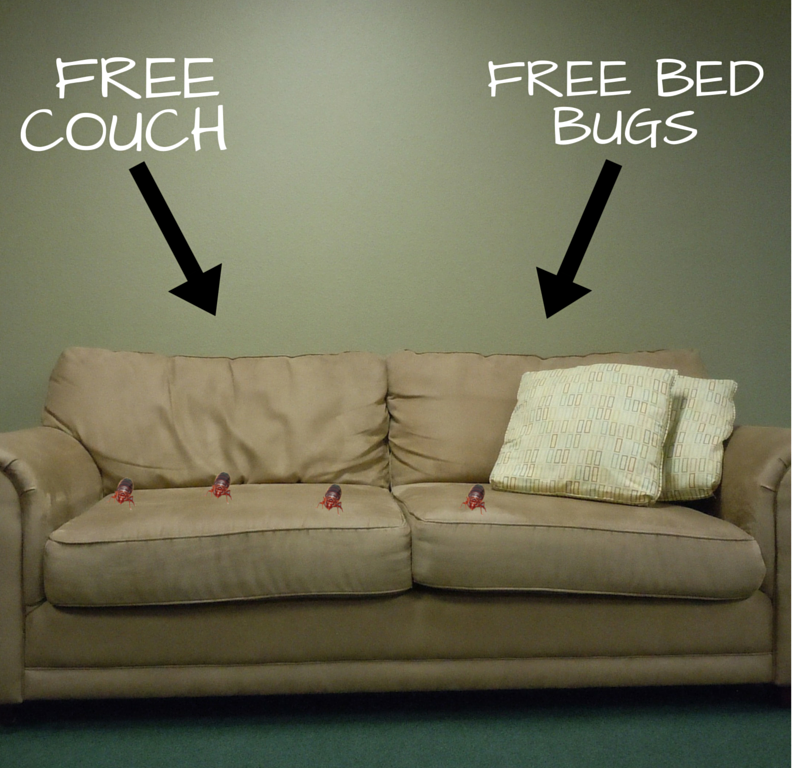 LegacyPestUT's tweet photo. #PestControlTip: Check every inch of used furniture before bringing it home! #bedbug https://t.co/Txy6pqOthQ