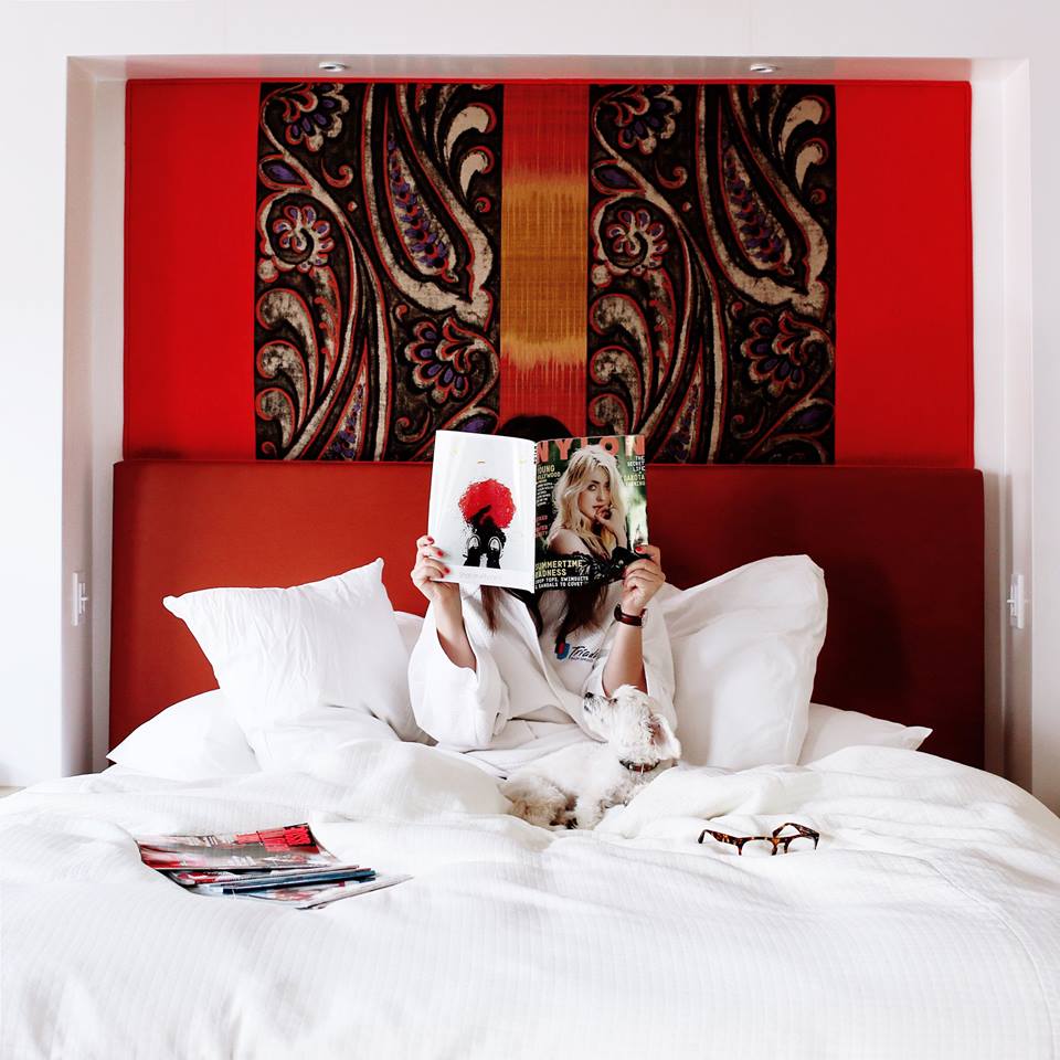 triadaps's tweet image. Why leave your furry friend at home, bring them with you! We love pets as much as you do! #PetFriendly @Autograph