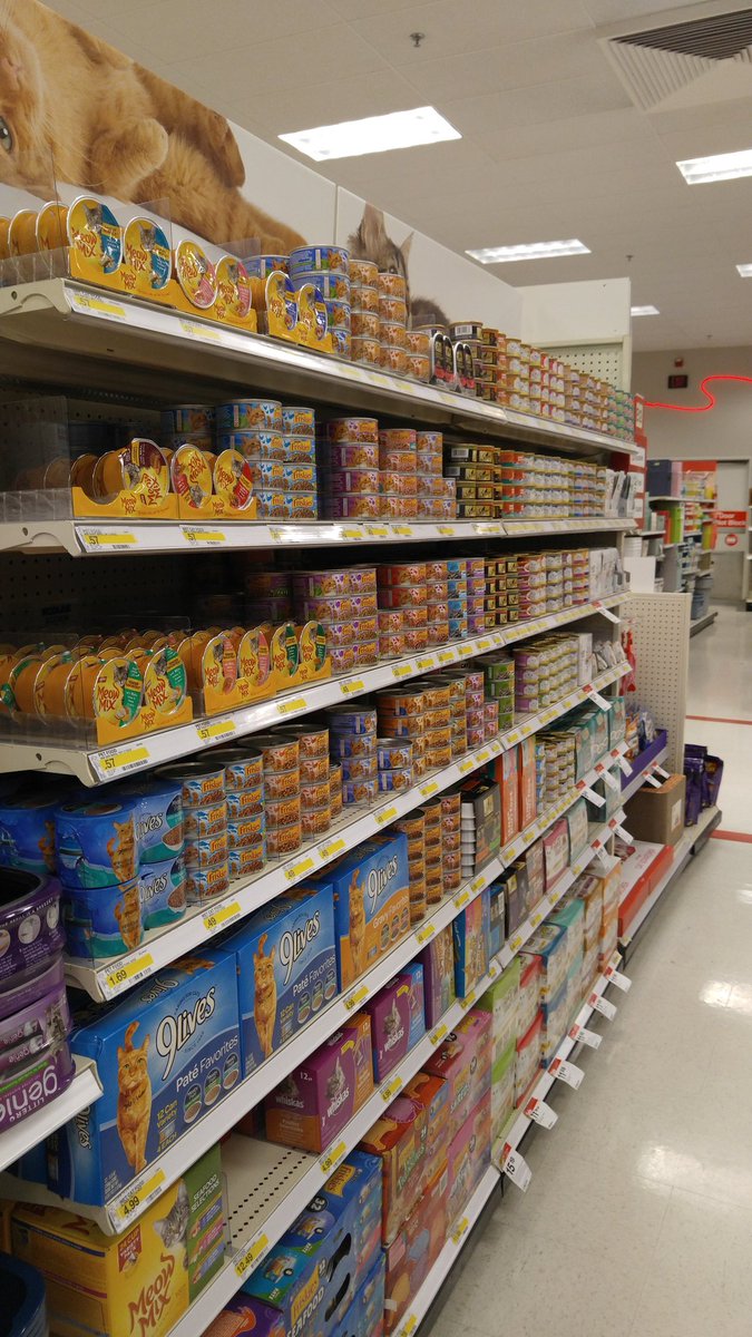 Early morning #t1064x4 with <a href="/MandyRudometkin/">Mandy Rudometkin</a>. @TGTGregWood