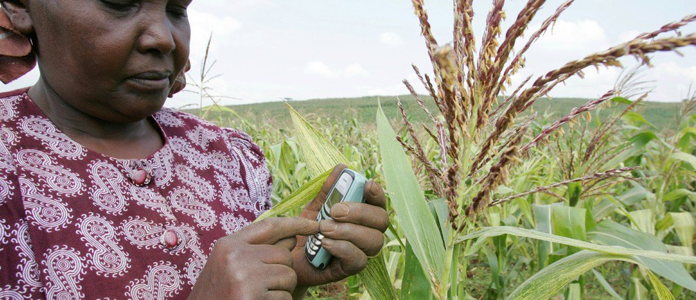 PhillipsRiver's tweet image. MT @agrifoodaid: Check how digital solving 3 probs in agriculture: is.gd/ORASQL #foodsecurity