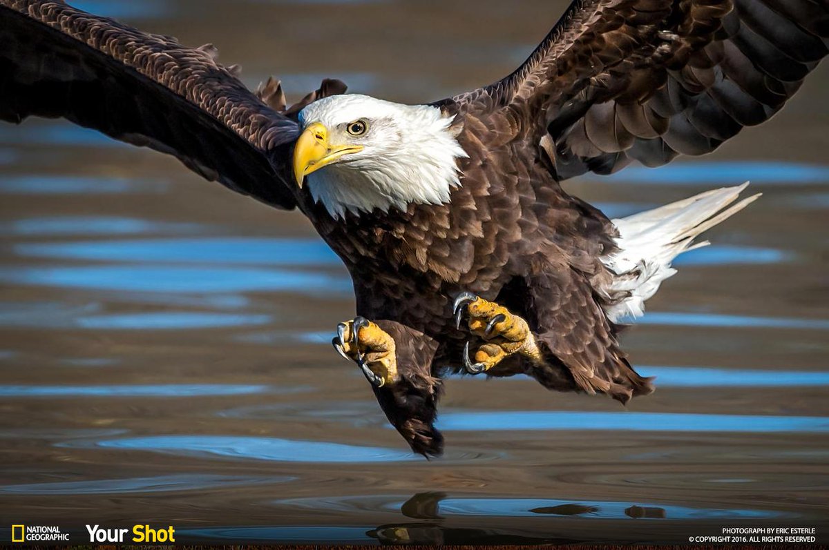 Nat Geo Photography tweet media