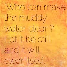 Mantra of the day: Who can make the muddy water clear? Let it be still and it will clear itself. #mindfulmondays