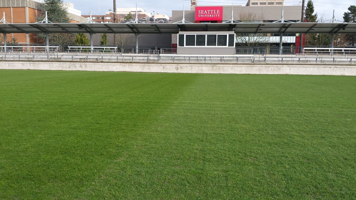 Halfway finished with our foliar spray.  Yes, we use Green Pigment.