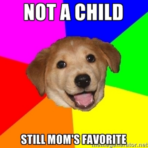 KerryCronkite's tweet photo. Anyone who grew up with a dog knows who the #FavoriteChild is. #MCO435 https://t.co/1UzGDNlAbm